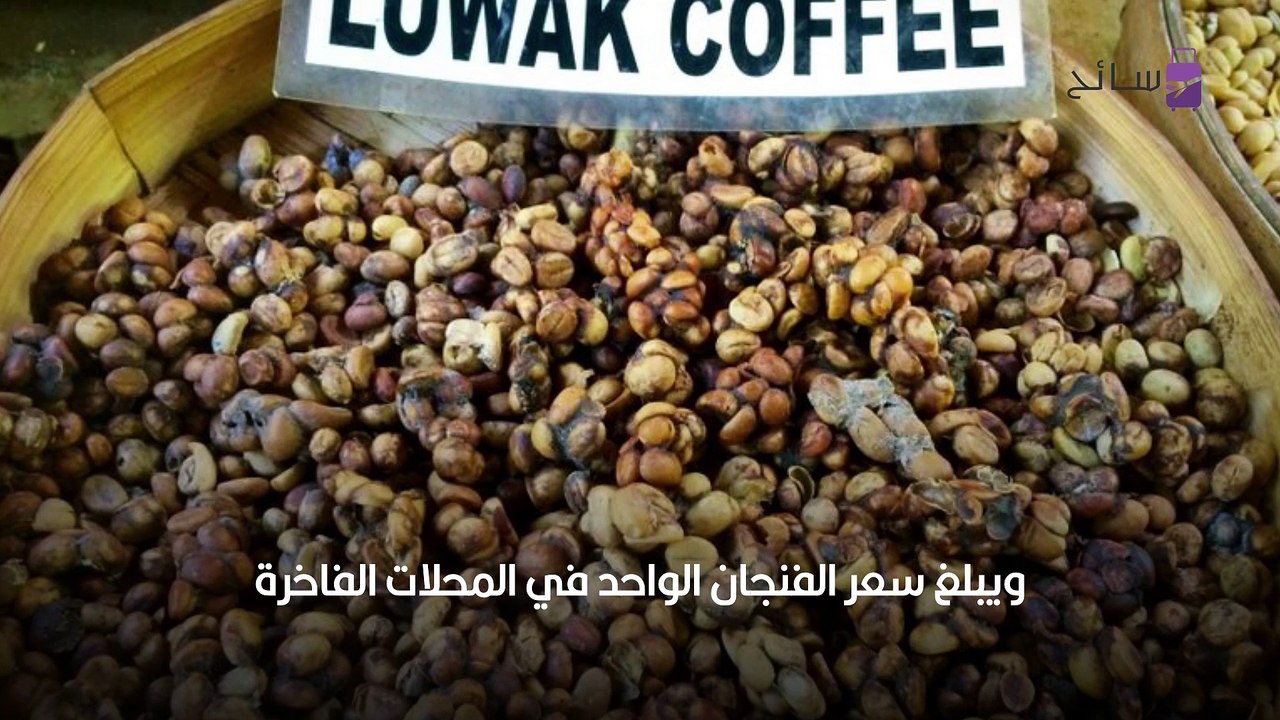 أغلى قهوة