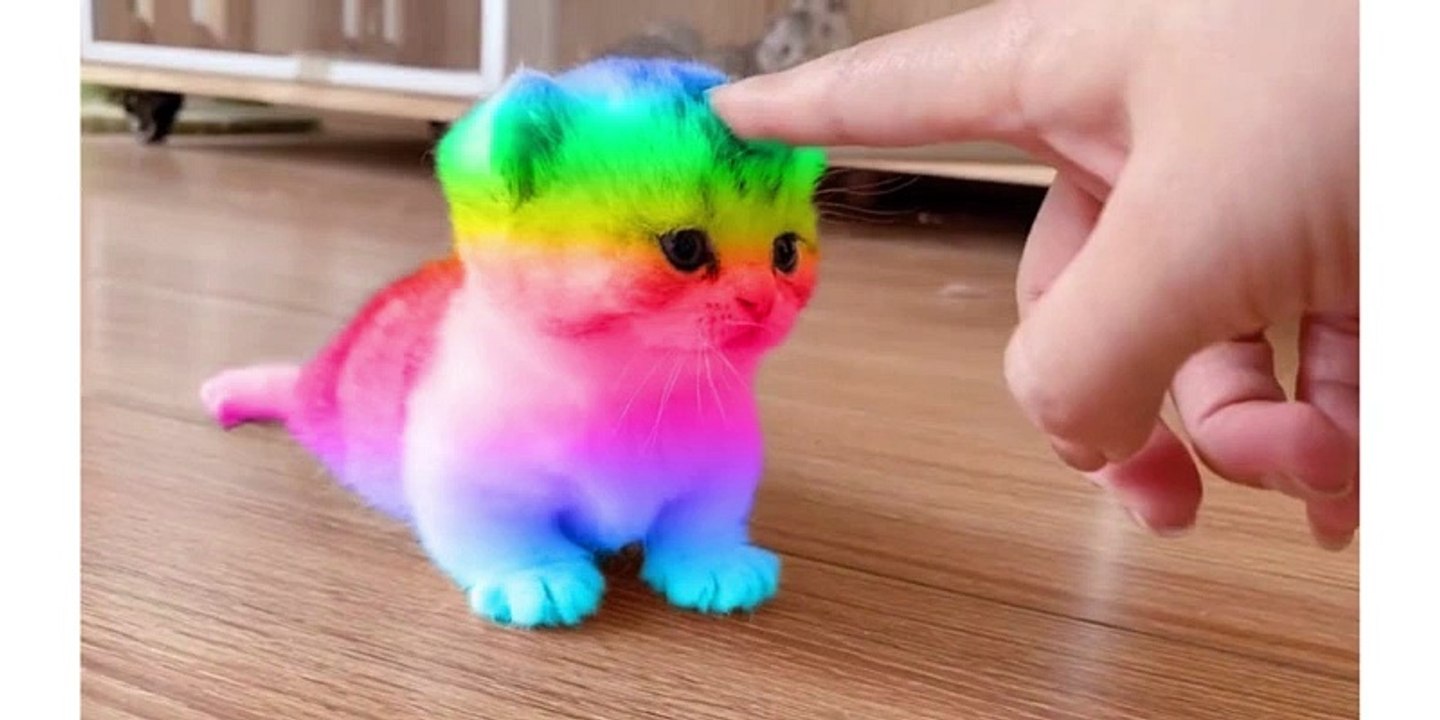 Best Funny Animal Videos 2022 - Funniest Cats And Dogs Video