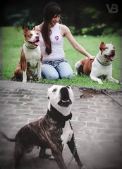 Only These Dogs Are Stronger Than a Pitbull