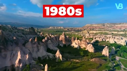 These Are 10 Strongest LG Dog Breeds