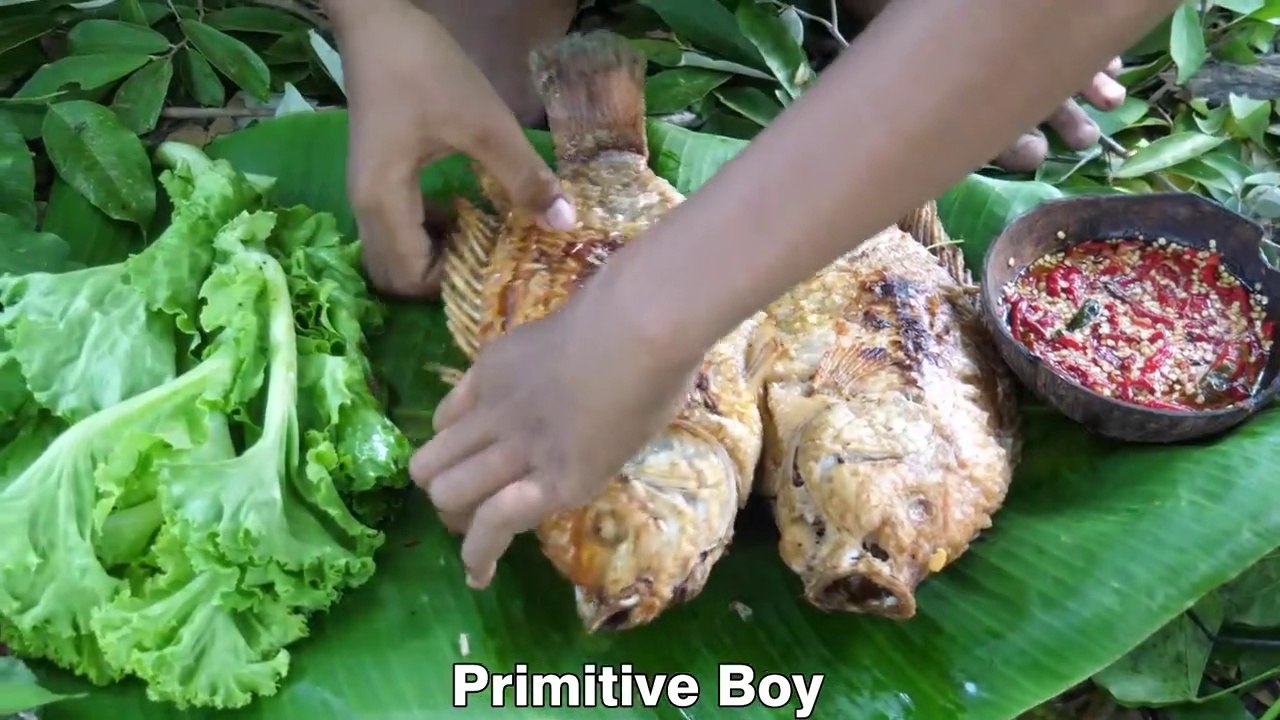 Fish hunting and cooking in jungle - Jungle Survival - video Dailymotion