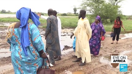 Senegalese fishermen take processing factory to court