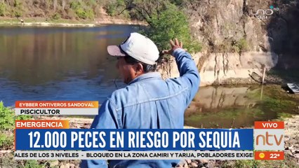 Extrema sequía provoca mortandad de animales en el chaco boliviano. Villamontes se declara en zona de desastre y pide ayuda al gobierno.