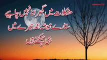 There Are Many Stumbling Blocs In Life Best Urdu Quotes