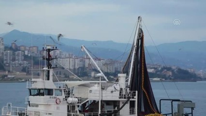 Uzmanlar "her ay en fazla hangi balık çıkıyorsa" onun tüketilmesini önerdi