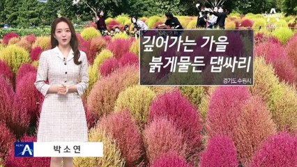 [날씨]출근길 갈수록 쌀쌀해져…내일 오후부터 강원영동 많은 비