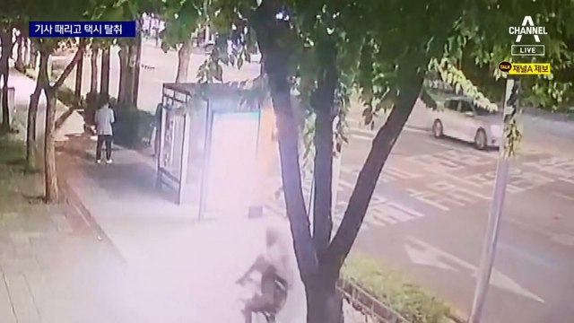 승객이 기사 폭행 후…택시 빼앗아 도주하다 ‘쾅’