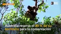 Reservarán el 30 % del territorio para la conservación de la flora y fauna