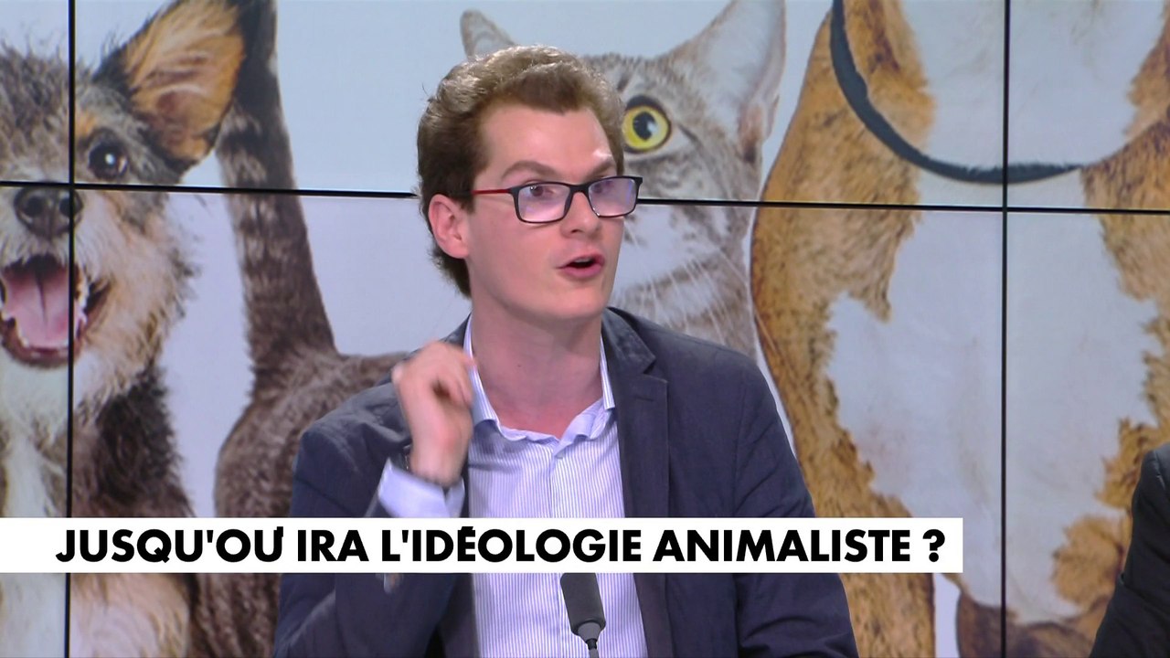 JeanLoup Bonnamy «Il y a une grande différence entre les animaux et