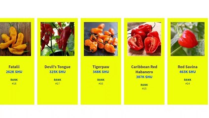 Hottest Peppers In The World Comparison