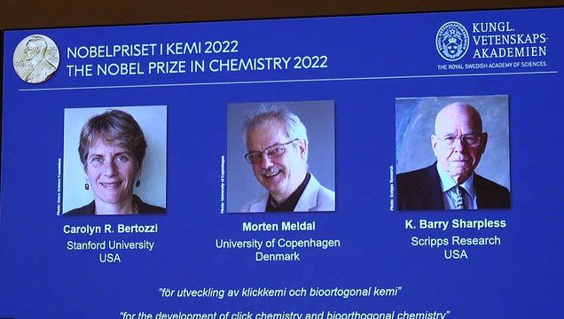 Dos estadounidenses y un danés ganan Premio Nobel de Química