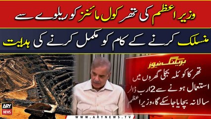 PM Shehbaz Sharif orders to link Thar coal mines to railway by March 2023