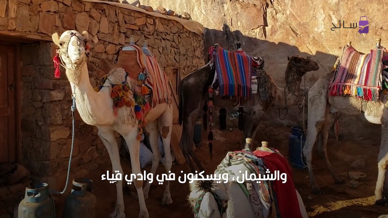 قبيلة الحارثي