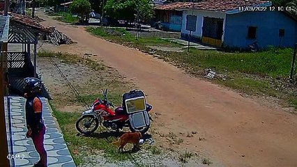 Chauffeur-livreur Confus Par La Disparition De La Nourriture - Buzz Buddy