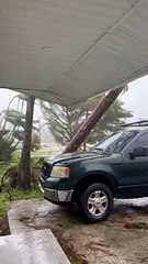 L'ouragan Ian Pousse L'arbre Sur Le Camion - Buzz Buddy