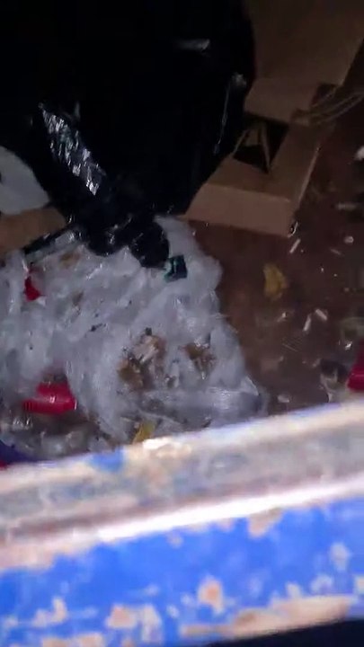 Trash Panda Prend Un Ascenseur - Buzz Buddy