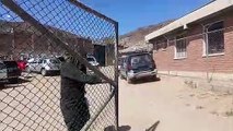 Un reo falleció tras tras ser apuñalado en la cárcel del Abra en Cochabamba