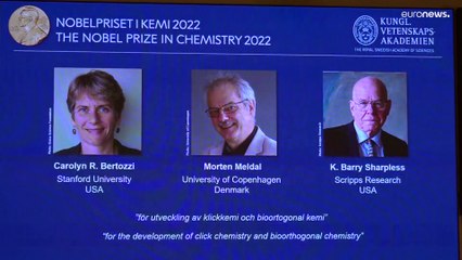 Premio Nobel al trio di scienziati pionieri della chimica "a scatto"