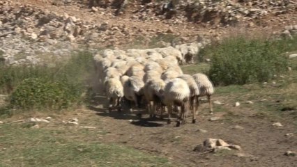 Maaş 6 bin liradan 12 bin liraya çıktı, yine çalışacak birini bulamıyorlar