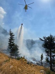 Çıkan orman yangını söndürüldü