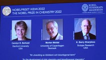Cientistas que estabeleceram bases para química mais funcional são agraciados com Nobel