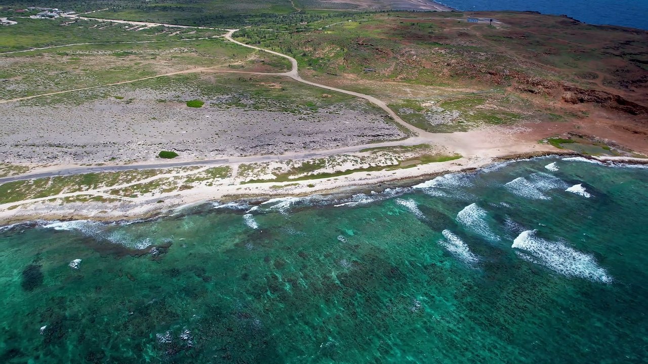 beautiful jungle, river views