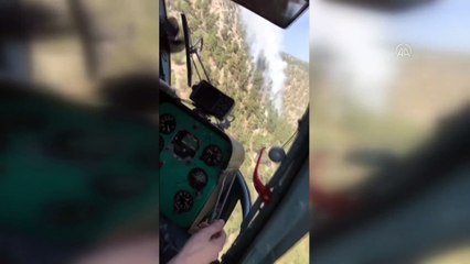 Adana'da söndürülen orman yangını yeniden başladı