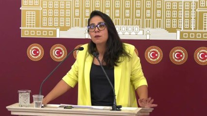 Van gündem haberi | Sera Kadıgil: "Bu Ülkede Başörtüsü Diye Bir Sorun Yok Ama Saray Rejiminin Biz Kadınlarla Çok Ciddi Bir Sorunu Var"