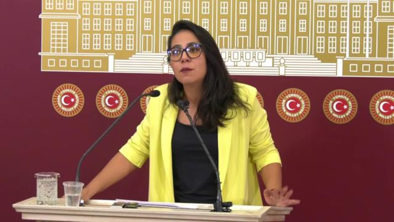 Van gündem haberi | Sera Kadıgil: "Bu Ülkede Başörtüsü Diye Bir Sorun Yok Ama Saray Rejiminin Biz Kadınlarla Çok Ciddi Bir Sorunu Var"