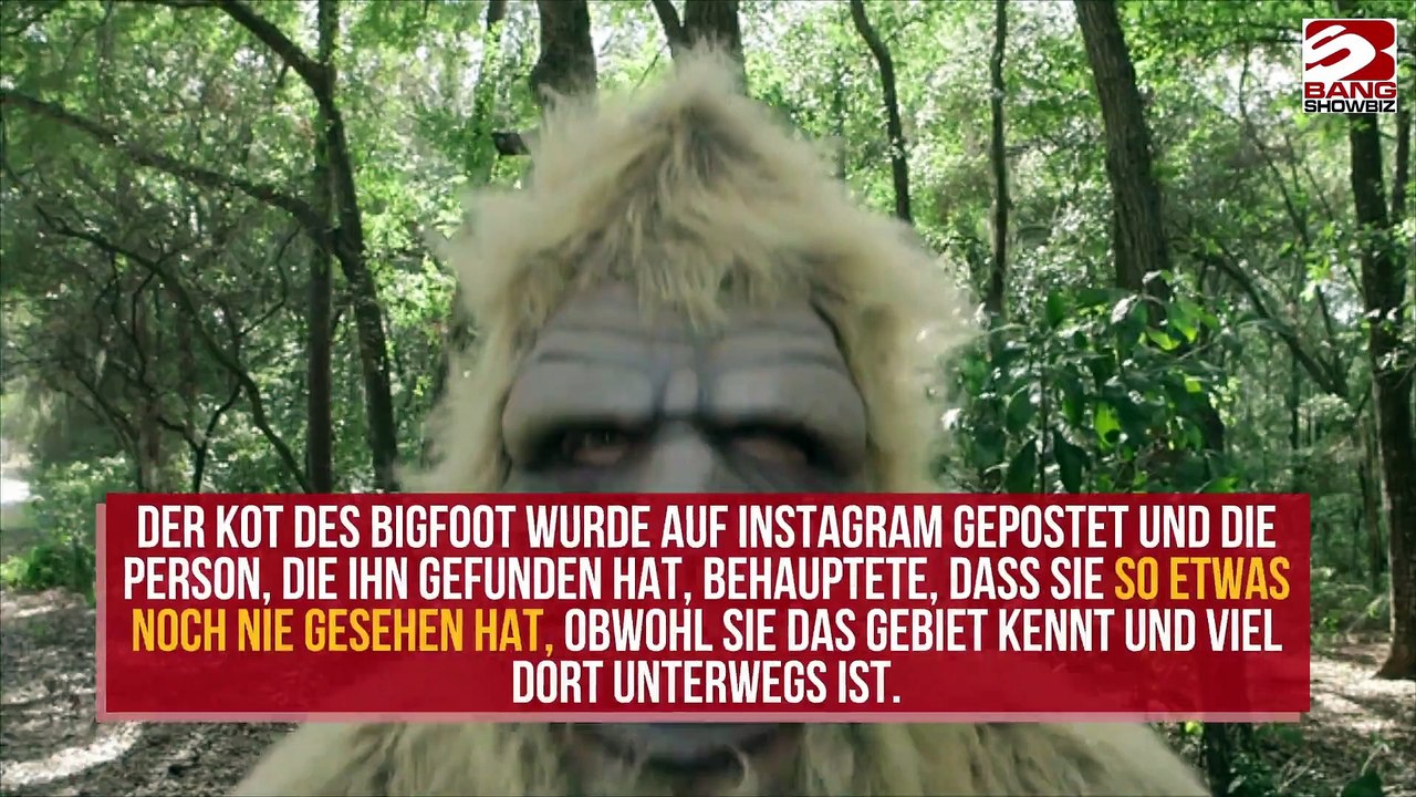 Bigfoot-Kot in der Nähe eines US-Hotels gesichtet