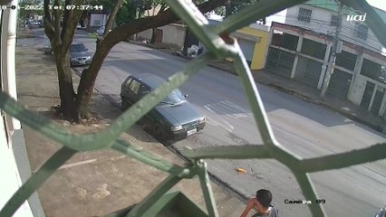 'Dia de sorte': árvore quase atinge pedestre em BH