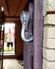 Personne ne rentrera chez lui c'est certain...