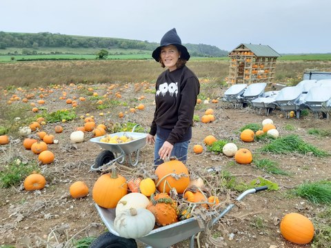 Sompting Pumpkins patch gets ready to welcome visitors