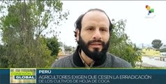 Productores cocaleros de Perú anuncian paro indefinido