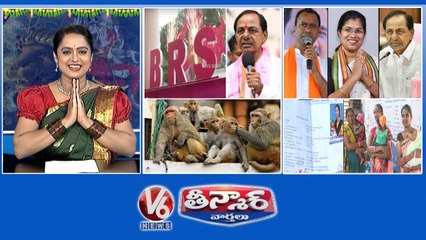 Download Video: CM KCR-TRS to BRS  Munugodu Bypoll 2022  Monkeys Threat To Villages  Rs.5, 000 For Baby Girls  V6 Teenmaar