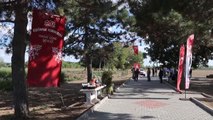Edirne haberleri: Edirne kırmızısının elde edildiği bitki hasat edildi