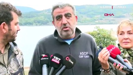 Bolu'da korkutan olay: Kiloluk sazan balıkları karaya vurdu