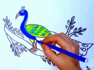 Learn to draw a beautiful peacock very easily.