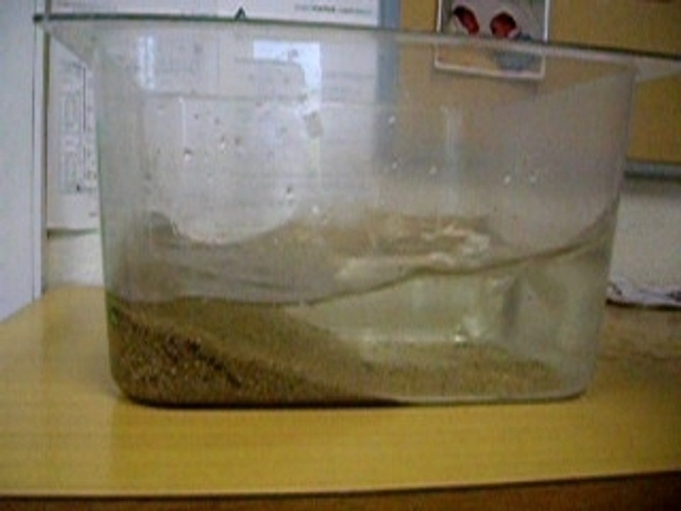 expérience TPE tsunamis