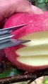 Fruit Ninja Cutting / Best Fruits in the World