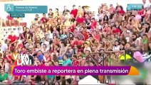 VIDEO: Toro embiste a reportera en plena transmisión