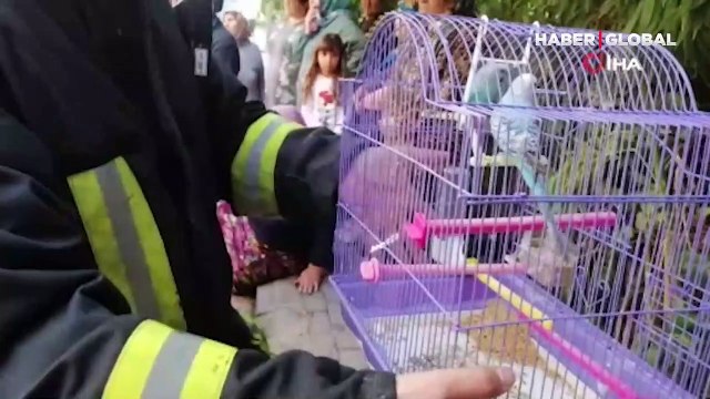Kocaeli'de itfaiye ekiplerinden Fıstık operasyonu: Muhabbet kuşu son anda hayata tutundu