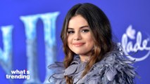 Selena Gomez Gets Dragged Into Hailey Bieber Drama