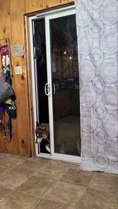 Can't Keep 'Em Outside or Inside