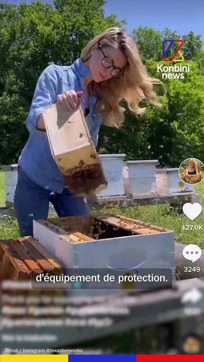 Erika vit au milieu des abeilles et raconte son quotidien de folie sur Tiktok 