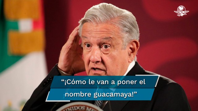 AMLO critica nombre de “Guacamaya Leaks”; es un ave única y bellísima, dice