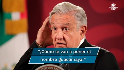 AMLO critica nombre de “Guacamaya Leaks”; es un ave única y bellísima, dice