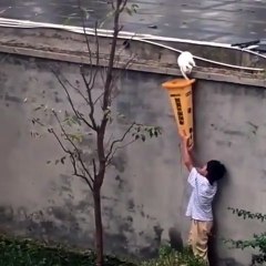 What this young boy did to rescue a trapped cat is truly heroic!