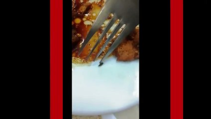 KYK yurdunda skandal görüntü! Yemekten böcek çıktı