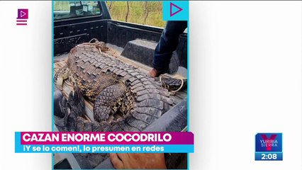 Cazan cocodrilo, lo presumen en redes sociales y se lo comen